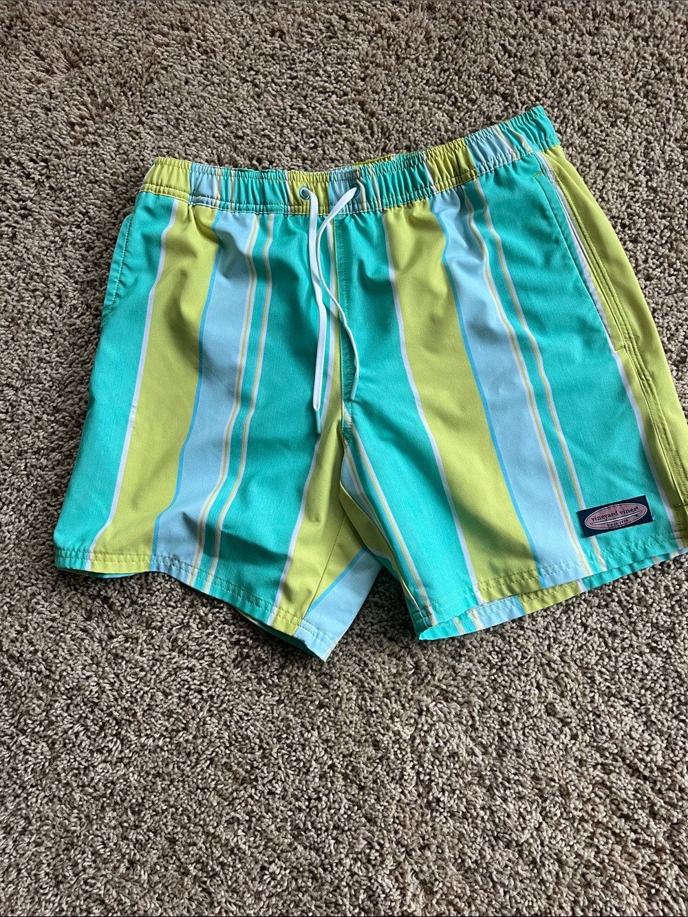 Vineyard Vines Turquoise, Lime & Light Blue Striped Swim Shorts